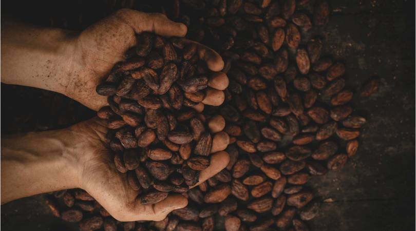 blutdrucksenkende-lebensmittel-kakao
