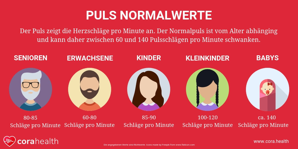 puls-normalwerte