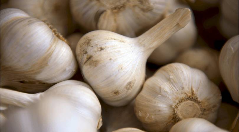 high-blood-pressure-diet-garlic