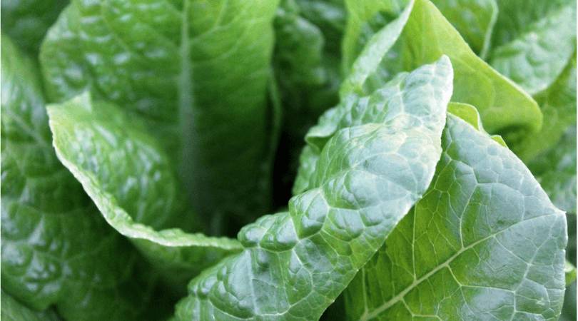 high-blood-pressure-diet-spinach